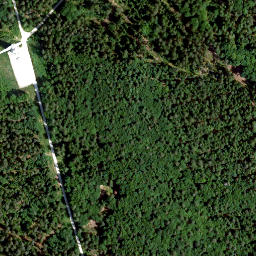 Satellite imagery of Tannenberg, DE