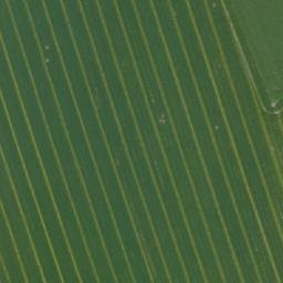 Satellite imagery of Heráně [Skuteč-Zbožnov], CZ