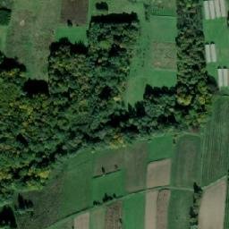 Satellite imagery of Wieruszyce - Dwór obronny, PL