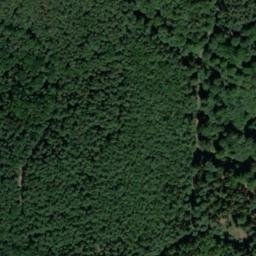 Satellite imagery of Wingertsberg, DE