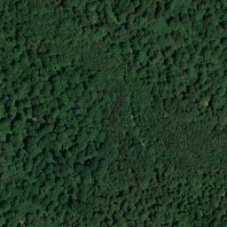 Satellite imagery of Baumwipfelpfad Ebrach, DE