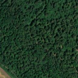 Satellite imagery of Lausbühl, DE