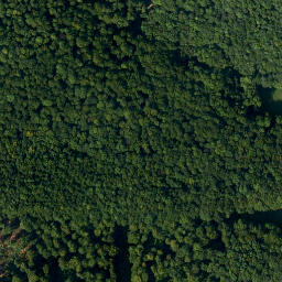 Satellite imagery of Friesener Warte, DE