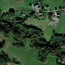Satelita