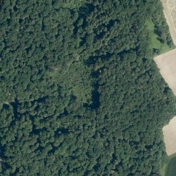 Satellite imagery of Rehkopf, DE