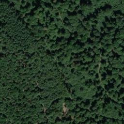 Satellite imagery of Wingertsberg, DE