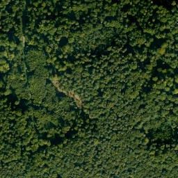 Satellite imagery of Eselsberg, DE