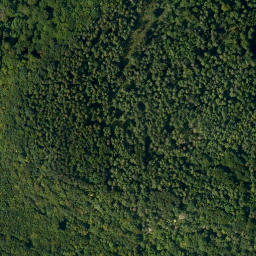 Satellite imagery of Friesener Warte, DE