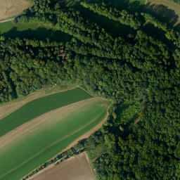 Satellite imagery of Knoppelts, DE