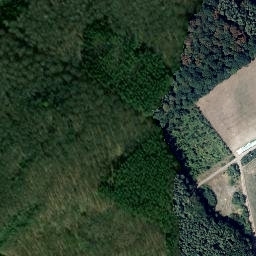 Satellite imagery of Wingertsberg, DE