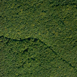 Satellite imagery of Dachsberg, DE