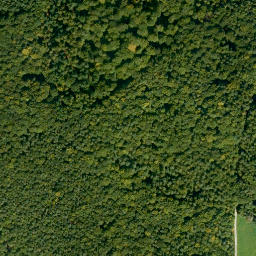 Satellite imagery of Dachsberg, DE