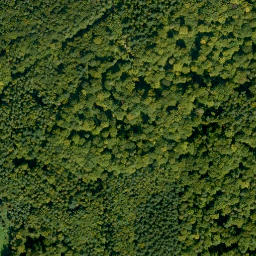 Satellite imagery of Dachsberg, DE