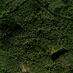 Satellite imagery of Hartberg, DE