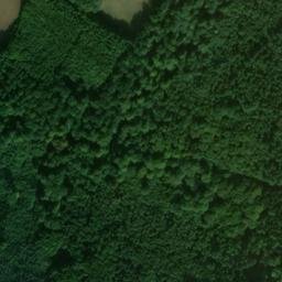 Satellite imagery of Büchelberg, DE