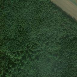 Satellite imagery of Büchelberg, DE