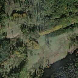 Satellite imagery of Pod Sedlištěm [Planá-Týnec], CZ