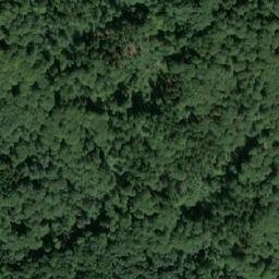 Satellite imagery of Psí Kuchyně [Opatov v Čechách], CZ