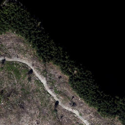 Satellite imagery of Elephant Point, CA