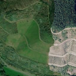 Satellite imagery of Wingertsberg, DE