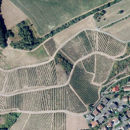 Satellite imagery of Wingertsberg, DE