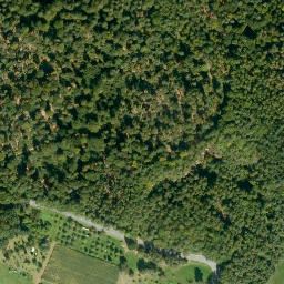 Satellite imagery of Eselsberg, DE