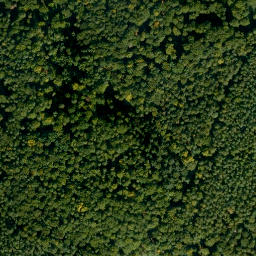 Satellite imagery of Buchberg, DE