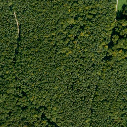 Satellite imagery of Dachsberg, DE