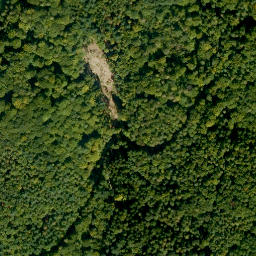 Satellite imagery of Dachsberg, DE