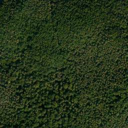 Satellite imagery of Distelberg, DE