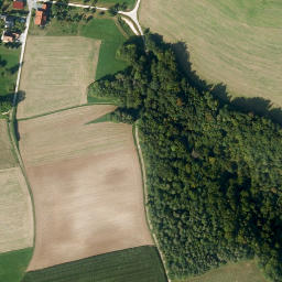 Satellite imagery of Totenstein, DE