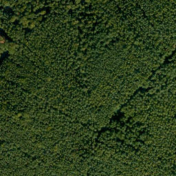 Satellite imagery of Buchberg, DE
