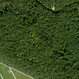 Satellite imagery of Dachsberg, DE