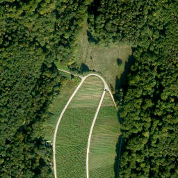 Satellite imagery of Dachsberg, DE