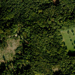 Satellite imagery of Hartberg, DE