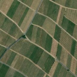 Satellite imagery of Rosenberg, DE