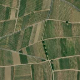 Satellite imagery of Rosenberg, DE