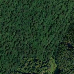 Satellite imagery of Hungersberg, DE