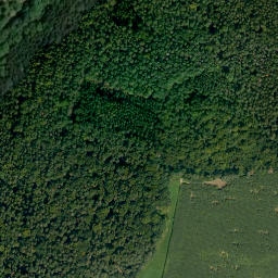 Satellite imagery of Hungersberg, DE