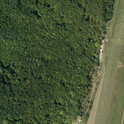 Satellite imagery of Buchenberg, DE