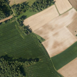 Satellite imagery of Frohnbühl, DE