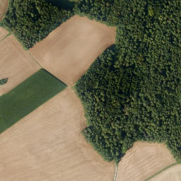 Satellite imagery of Frohnbühl, DE