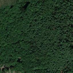 Satellite imagery of Burzelberg, DE