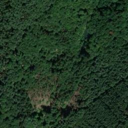 Satellite imagery of Burzelberg, DE