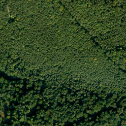 Satellite imagery of Buchberg, DE