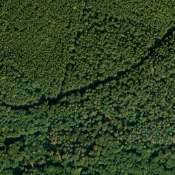 Satellite imagery of Buchberg, DE