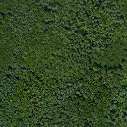 Satellite imagery of Dillberg, DE