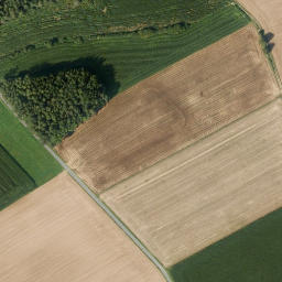 Satellite imagery of Frohnbühl, DE