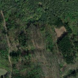 Satellite imagery of Rychnovský vrch [Rychnov na Moravě], CZ