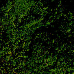 Satellite imagery of survey_point, PL